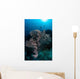 Huge Gorgonian Grows Reef Wall Decal