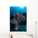 Huge Gorgonian Grows Reef Wall Decal