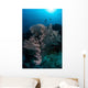 Huge Gorgonian Grows Reef Wall Decal