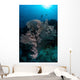 Huge Gorgonian Grows Reef Wall Decal