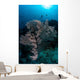 Huge Gorgonian Grows Reef Wall Decal
