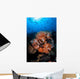 Beautiful Orange Soft Corals Wall Decal Design 2