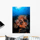 Beautiful Orange Soft Corals Wall Decal Design 2