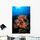 Beautiful Orange Soft Corals Wall Decal Design 2