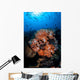 Beautiful Orange Soft Corals Wall Decal Design 2