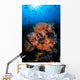 Beautiful Orange Soft Corals Wall Decal Design 2