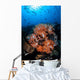 Beautiful Orange Soft Corals Wall Decal Design 2