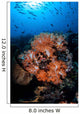 Beautiful Orange Soft Corals Wall Decal Design 2