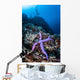 Purple Sea Star Clings Wall Decal