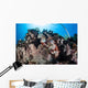 Scorpionfish Lays Coral Reef Wall Decal