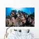 Scorpionfish Lays Coral Reef Wall Decal