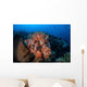 Beautiful Orange Soft Corals Wall Decal Design 1