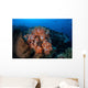 Beautiful Orange Soft Corals Wall Decal Design 1