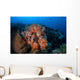 Beautiful Orange Soft Corals Wall Decal Design 1