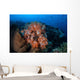 Beautiful Orange Soft Corals Wall Decal Design 1