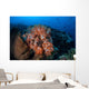 Beautiful Orange Soft Corals Wall Decal Design 1