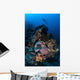 Diver above Beautiful Reef Wall Decal