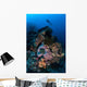 Diver above Beautiful Reef Wall Decal