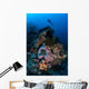 Diver above Beautiful Reef Wall Decal