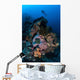 Diver above Beautiful Reef Wall Decal