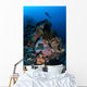 Diver above Beautiful Reef Wall Decal