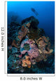 Diver above Beautiful Reef Wall Decal