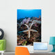 Sea Star Clings to Wall Decal
