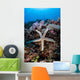 Sea Star Clings to Wall Decal
