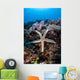 Sea Star Clings to Wall Decal