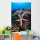 Sea Star Clings to Wall Decal