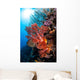 Soft Corals and Other Wall Decal Design 6