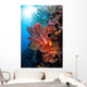 Soft Corals and Other Wall Decal Design 6