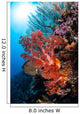 Soft Corals and Other Wall Decal Design 6