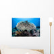 Table Coral Grows Beautiful Wall Decal
