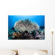 Table Coral Grows Beautiful Wall Decal