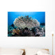 Table Coral Grows Beautiful Wall Decal