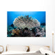 Table Coral Grows Beautiful Wall Decal
