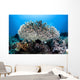 Table Coral Grows Beautiful Wall Decal