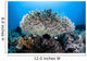 Table Coral Grows Beautiful Wall Decal