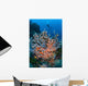 Scuba Diver Explores Colorful Wall Decal