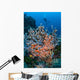 Scuba Diver Explores Colorful Wall Decal