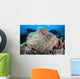 Pink Anemonefish Swims among Wall Decal Design 4