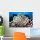 Pink Anemonefish Swims among Wall Decal Design 4