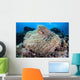 Pink Anemonefish Swims among Wall Decal Design 4