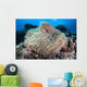Pink Anemonefish Swims among Wall Decal Design 4