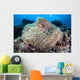 Pink Anemonefish Swims among Wall Decal Design 4