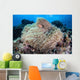 Pink Anemonefish Swims among Wall Decal Design 4