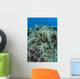 Colonies Soft Coral Thrive Wall Decal