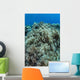 Colonies Soft Coral Thrive Wall Decal