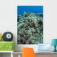 Colonies Soft Coral Thrive Wall Decal